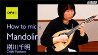 【DPA】How to mic a Mandolin -マンドリンのマイキング-