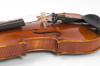 4061 on Violin