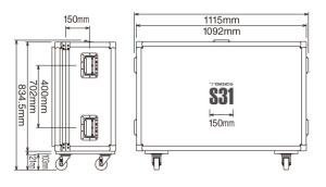 S31 Case