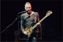 sting