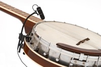 VC4099 on Banjo