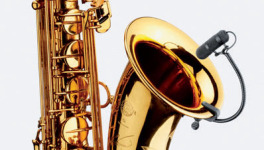 Sax 4