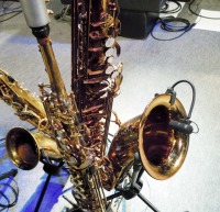 Sax with d:vote 4099