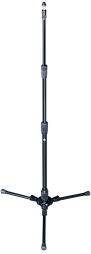 T3