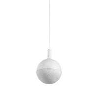 Ceiling Mic white